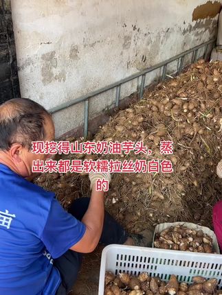 #芋头 适合蒸着吃,煮着吃,炖着吃,各个软糯拉丝