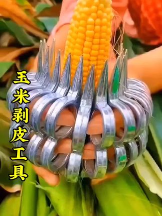 剥玉米皮神器农用扒苞米皮机签子包棒子玉米皮掰加厚便捷农用工具 #剥玉米 #铝合金扒苞米小工具 #又到了收玉米的季节 #扒玉米的神奇工具 #扒苞米小神器