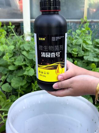 果树清园