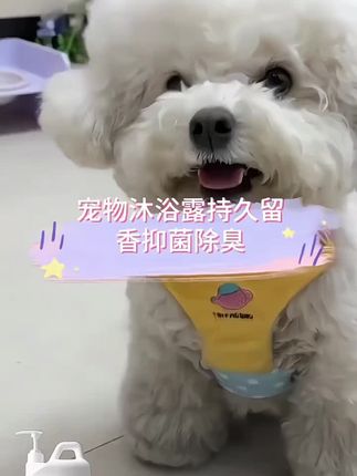 #宠物沐浴露 #宠物护理  #养宠必备