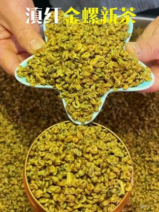 东吴茶一云南滇红2025年新茶滇红金螺M1蜜香薯香浓香口粮茶X,云南滇红2025年新茶一级滇红金螺M1蜜香薯香浓香口粮茶滇红金螺 新茶上市 口粮茶 送礼佳品 好茶推荐 #滇红金螺 #蜜香薯香 #口粮茶推荐
