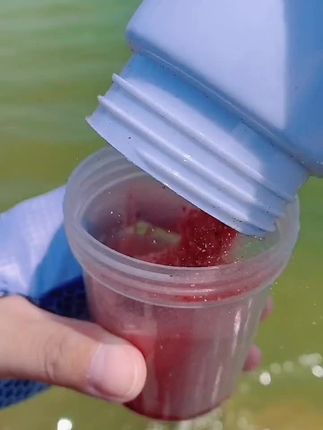 舟三公免洗溪流面筋饵料白条马口石斑钓鱼饵料溪流饵面筋饵抗急流#饵料
