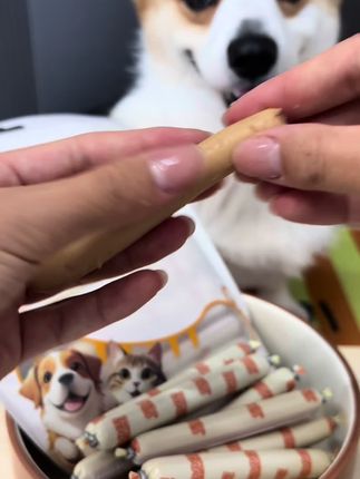 小狗超爱吃 #萌宠 #可爱小狗 #谁家小狗像个小宝宝 #萌宠吃货