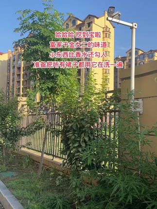 小东西比香水还勾人,好闻哭了!#泰国hygiene 柔顺剂#洗护好物#泰国 hygiene #出门携蒂方便#好物推荐🔥