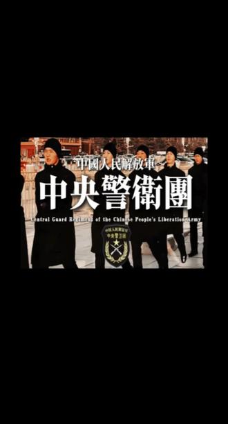 中央警卫团#8341