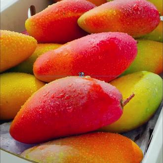 左右眼皮跳的真正含义#语录分享 #金典语录 #窝要火