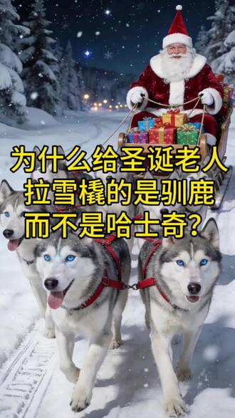 为什么给圣诞老人拉雪橇的是驯鹿而不是哈士奇?
#圣诞 #平安夜 #涨知识 #冷知识 #神奇动物