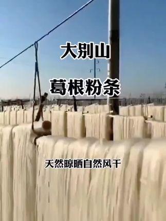 正宗大别山葛根粉条劲道爽口久煮不糊牛肉面#好物分享🔥 #葛根粉条 #粉条 #好吃到停不下来 #葛根粉