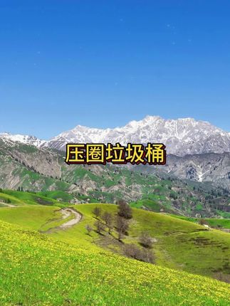 【拍一发二】大号加厚卡皮巴拉卡通压圈垃圾桶大容量家用塑料
