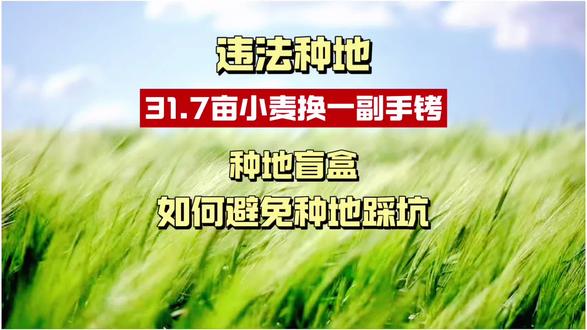 种了31.7亩小麦被抓走?种地界的盲盒时代正式开启。内蒙古村民王某某在自家承包的林地里间种了31.7亩小麦,被认定为非法占用农用地罪,5月21日被抓获归案。两高新规5月18日刚生效——永久基本农田5亩即入刑,基本农田2.5亩起跳。种地有风险,间种需谨慎。
#非法占用农用地 #间种小麦入刑 #两高耕地新规 #耕地红线 #PYE创业观