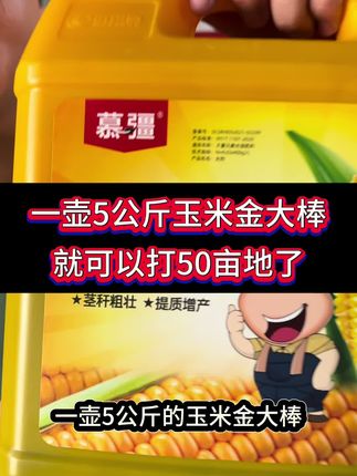 一壶5公斤玉米金大棒,就可以打50亩地了#玉米 #玉米种植 #玉米高产 #三农 #三农种植