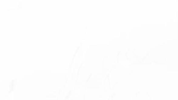 法硕备考实录:从双非到名校,397分学姐的三阶段冲刺法【岸虎成硕记】#岸虎法硕#干货# 经验分享