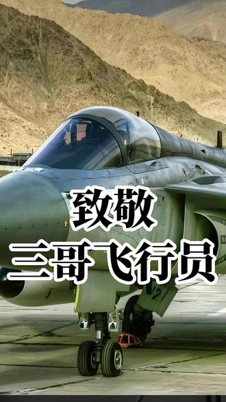 向光辉战机飞行员致敬! #印度三哥