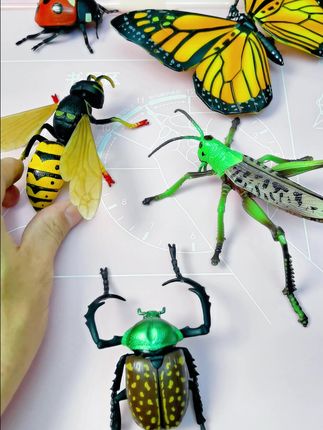 这个4D动物拼装模型也太逼真了吧,作为礼物真是太合适不过了#玩具 #儿童玩具 #动物模型 #拼装模型 #男孩礼物