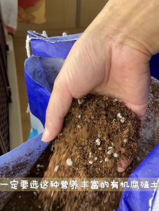 #家庭种植 #阳台种植 #绿植 #种植小技巧 #有机蔬菜