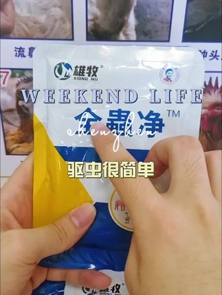 #家禽养殖 #农村养鸡技巧 #养鸡技术指导