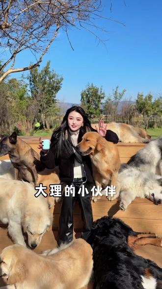 阿里千问和淘宝闪购这波真的假的 阿里千问真的太给力了 现在0.01就能喝奶茶
打开千问app 必得25元免单卡
奶茶、咖啡、商超、水果等各种美食通通都可用
快去千间APP了解吧!#千问 #喝奶茶 #淘宝闪购 #大理 #外卖