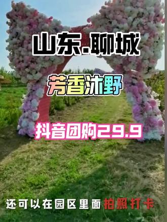 五一假期遛娃就去芳香沐野拍照打卡处#聊城芳香沐野 #无动力设施 #花海 #拍照打卡圣地