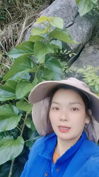 又到了头发拥央的日子,加油💪💪💪💪💪加油💪#抖音助农 #劳动最光荣