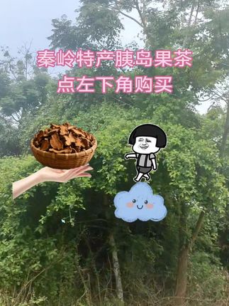 #胰岛果 #超便宜超划算 #食疗小妙招 #干货分享