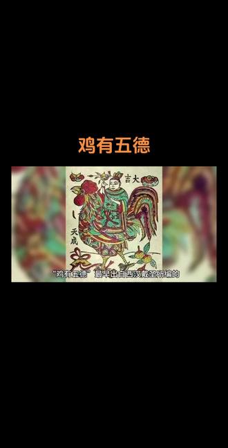 “鸡有五德”最早出自西汉戴圣所编的《礼记·曲礼下》,文中提到“鸡曰翰音,五德之禽也”,东汉学者郑玄注解称鸡有文、武、勇、仁、信这五种品德,以下为你详细介绍:
1. 文德:“头戴冠者,文也”,鸡的头顶有冠,冠在古代是一种身份的象征,是文明的标志。鸡以冠为饰,犹如人着华服,彰显着一种文雅的气质,所以鸡具备文德。
2. 武德:“足搏距者,武也”,距是鸡爪子后面突出的部分,就像武器一样。这一身体构造让鸡在面对危险或争夺领地、配偶时,能以此为武器进行战斗,体现出了勇敢好斗、威武不屈的武德。
3. 勇德:“敌在前敢斗者,勇也”,当鸡遭遇敌人时,不管对方多么强大,它都不会退缩,会毫不犹豫地冲上去进行搏斗,这种勇往直前、毫不畏惧的精神就是勇德的体现。
4. 仁德:“见食相呼者,仁也”,鸡在找到食物时,不会独自享用,而是会发出叫声呼唤同伴一起分享。这种将食物与同伴共享的行为,体现了鸡善良、关爱他人的仁德之心。
5. 信德:“守夜不失时者,信也”,公鸡具有司晨报晓的习性,每天都会在固定的时间打鸣报晓,从不失时。这体现了鸡守时守信的品质,象征着信德。