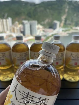 果子熟了又来卷了!900毫升大容量,6瓶看看才多少!配料干净,加冰喝起来真的巨清爽过瘾!大鱼大肉火锅烧烤来一瓶真的好舒服!#我超好喝 #果子熟了 #大麦茶 #解腻饮料 #仙女都在喝什么