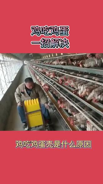怎么爬对腰椎颈椎最有效 oUfEZIpIHAGsBIfBhFqfY78CGwPNIlOQBjKAEz~tplv-dy-resize-origshort-autoq-75:330.jpeg?x-expires=2016028800&x-signature=A216%2B04G1x%2BnXNOSGwhJrFSA4ts%3D&from=3213915784&s=PackSourceEnum_AWEME_DETAIL&se=false&sc=cover&biz_tag=pcweb_cover&l=20231123001504ABBBE83C0460D23E91DC