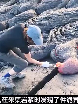 看似危险的行为却让他发了大财#趣味实验 #知识科普 #涨知识