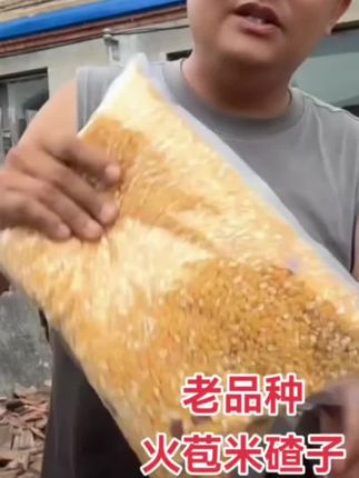 黄二胖苞米碴子5斤带豆包邮#东北大碴子 #大碴子 #苞米碴子 #大碴子粥 @DOU+好生意 @DOU+小助手 @DOU+上热门