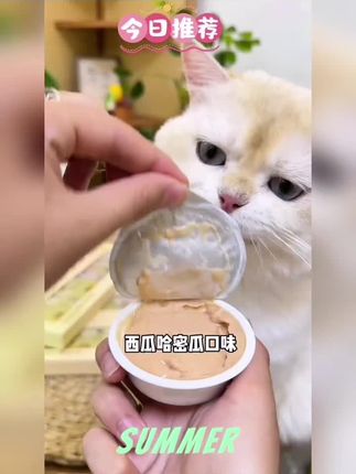 #猫咪零食 #萌宠好物 #吃货猫 #萌宠必备 #养猫新手