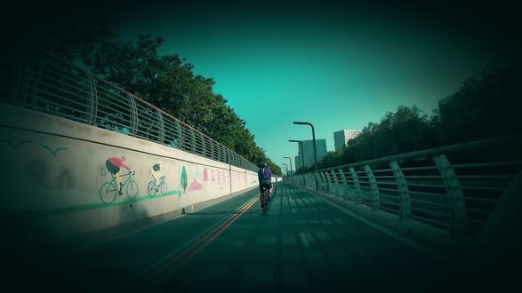 帮自己当战略,去经营自己。 #人间观察计划 #孙宇晨 #人生感悟 #婚姻 #爱情