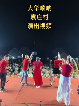 #大华唢呐