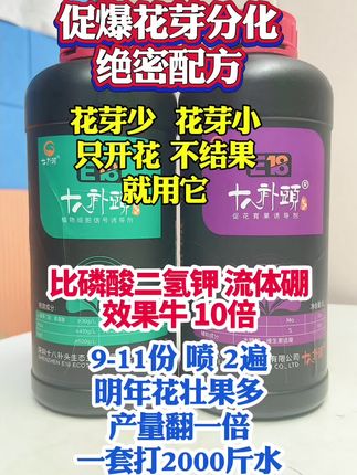 促爆花芽分化#促花肥#花芽分化#柑橘花芽分化#促花芽分化 #蛮花蛮果厂家十八补头智慧农业