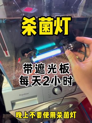 鱼缸杀菌灯-带遮光板,每天2小时,鱼缸干净透亮#水族 #水族用品 #无限回购的宝藏单品 #随时随地标记一下