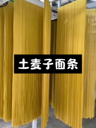 贵州高山土麦子面条,麦香味浓郁劲道好,吃一次爱一次,好吃停不下来,你们喜欢吗?喜欢的老乡抓紧下手了喽!#土麦子面条#妈呀太香了#爱生活爱美食#贵州特色美食#美食分享