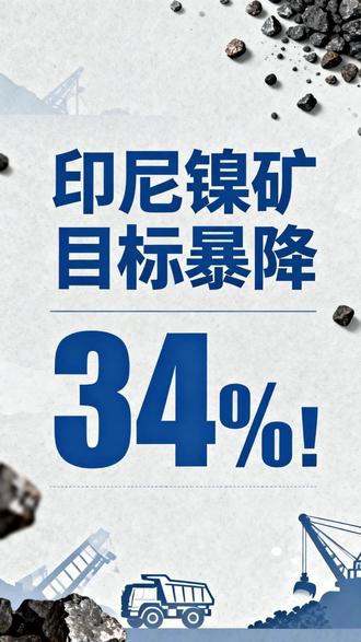 印尼镍矿目标暴降34%! #财经 #时事政治