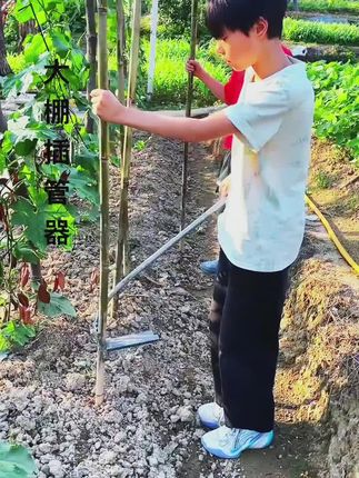 农用插管器三农拔管器#上热搜