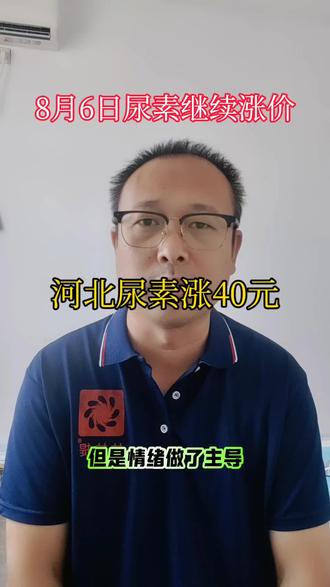 8月6日尿素继续涨价。#尿素 #尿素价格