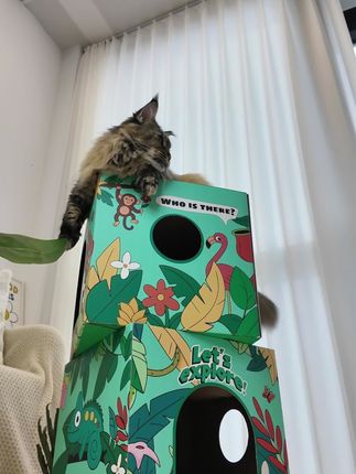 森林小屋他来了~可抓可睡可玩~一举三得#猫抓板窝 #抓板 #猫咪玩具 #宠物玩具