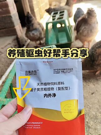 #养鸡技术 #养鸡小妙招 #养殖鸡鸭鹅#养殖驱虫#三农养殖