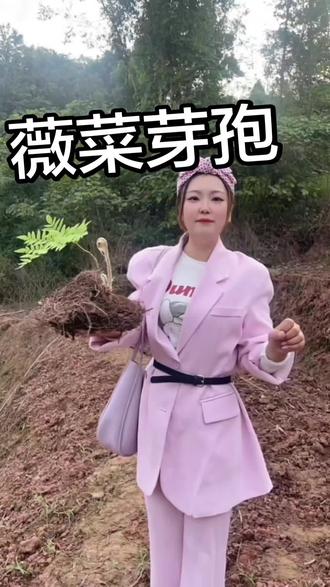 #中药种植#中药收购#三农流量扶持计划 #抖音助农#种植小技巧 薇菜