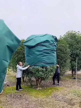 #三农 #户外用品 #我的乡村生活 #果树植物防冻防寒罩