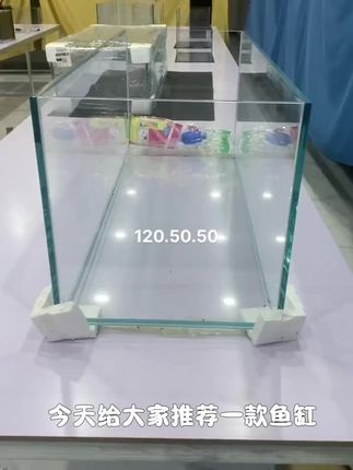 #水族爱好者 #超白鱼缸 #空气缸