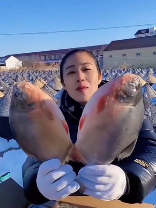 视频同款新鲜红鲳鱼 #超便宜超划算 #妈呀太香了 #红鲳鱼 #深海鱼 #美食