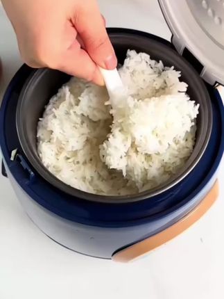 #电饭煲半球 #电饭煲#电饭锅#多功能电饭煲#智能电饭煲电饭煲美食