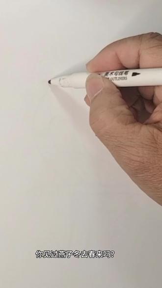 今天我们一起来画燕子!