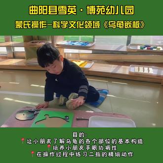 #小蒙班日常抓拍
#蒙氏操作科学文化领域:乌龟嵌板
目的:
📍让小朋友了解乌龟的各个部位的基本构造
📍培养小朋友手眼协调性
📍在操作过程中练习二指的精细动作
#雪英博苑幼儿园#优秀的孩子需要从小培养 #认真的样子真可爱