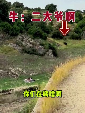 牛:你们看见我二大爷了吗? #搞笑 #搞笑视频 #万万没想到