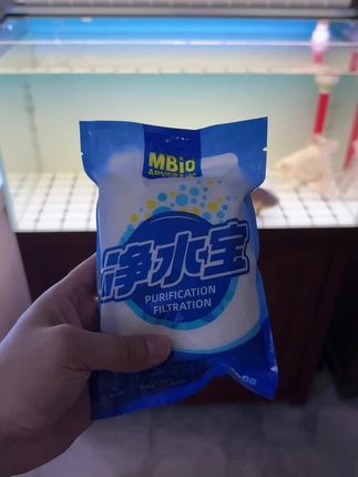 麦宝净水宝蛋白棉吸附黄水 #养鱼日记 #蛋白棉 #鱼缸黄水 勤快点就换水,懒就用蛋白棉,我的建议还是多次少量换水,对鱼好,喜欢老水的鱼另说