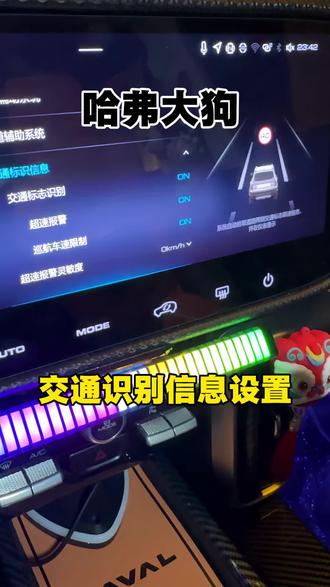 交通识别信息设置教程来了,学会的点关注。#热门 #哈弗大狗 #每天一个用车知识 #哈弗大狗改装 #男人的玩具